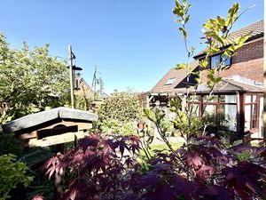 Garden- click for photo gallery